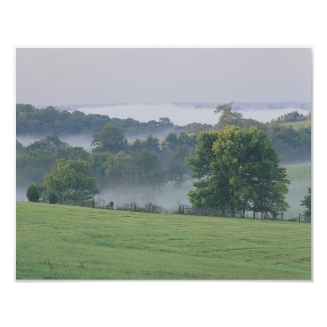 Impression Photo États-Unis, Kentucky. Collines ondoyantes du Blueg (Devant)