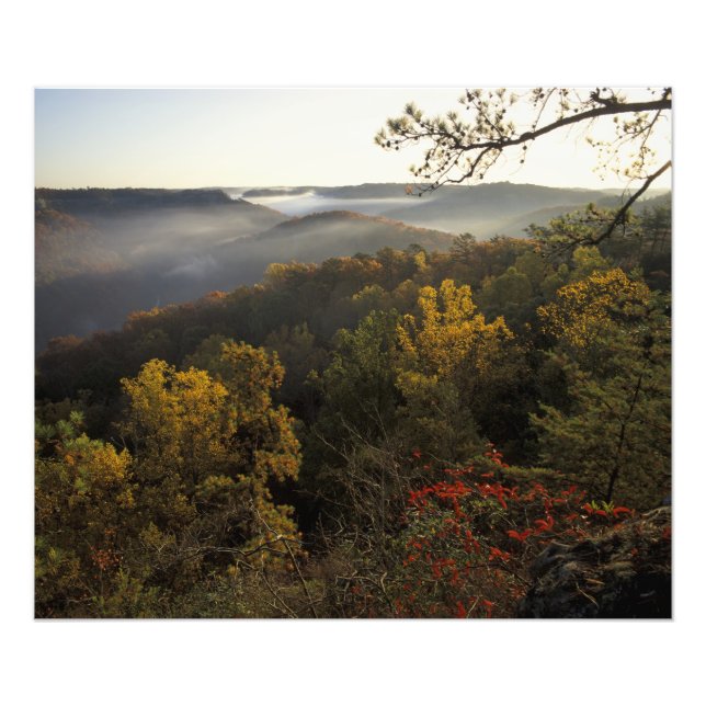 Impression Photo États-Unis, Kentucky. Forêt nationale Daniel Boone (Devant)