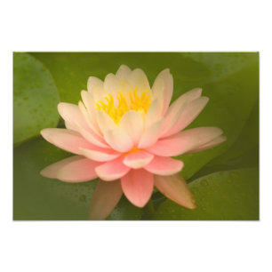 Impression Photo États-Unis, Maryland, Westminster, Union