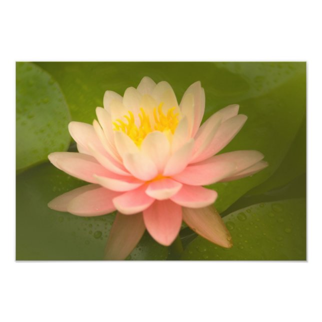 Impression Photo États-Unis, Maryland, Westminster, Union (Devant)