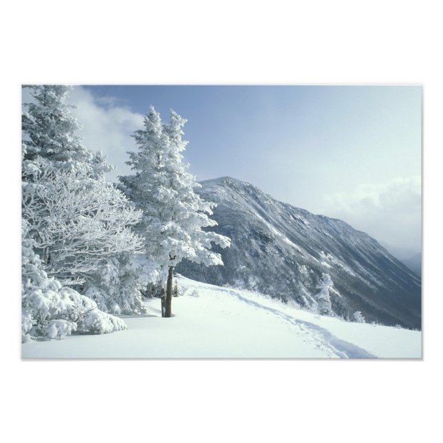 Impression Photo États-Unis, NH, arbres couverts de neige Trails Sn (Devant)