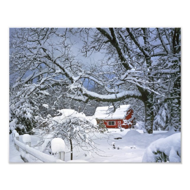 Impression Photo États-Unis, Oregon, comté de Clackamas. Neige fraî (Devant)