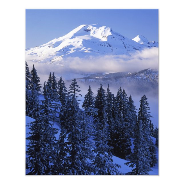 Impression Photo États-Unis, Oregon, Forêt nationale de Deschutes,  (Devant)