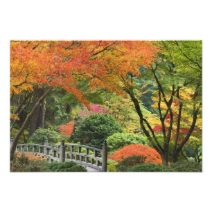 Impression Photo États-Unis, Oregon, Portland. Pont en bois et érab