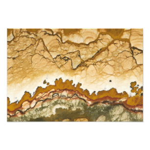 Impression Photo États-Unis, Oregon, Rocky Butte. Gros plan de l'im