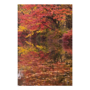 Impression Photo États-Unis, Pennsylvanie, Delaware Water Gap Natio