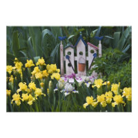 États-Unis, Pennsylvanie. Les iris de jardin pouss