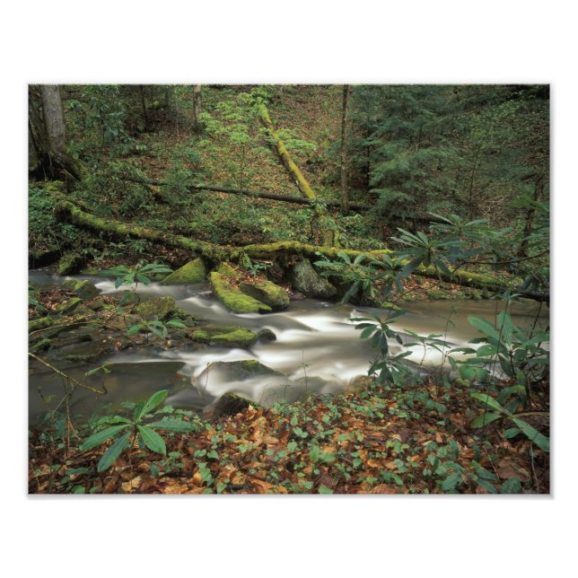 Impression Photo États-Unis, Tennessee. Big South Fork National Riv (Devant)