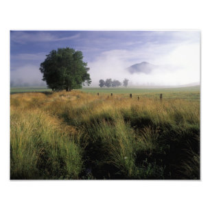 Impression Photo États-Unis, Tennessee, Grandes montagnes Smokey
