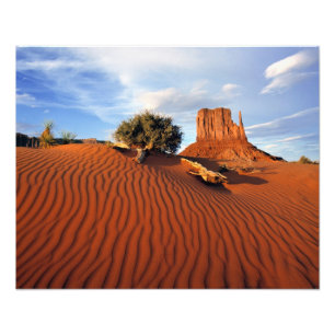 Impression Photo États-Unis, Utah, Monument Valley. Le vent crée