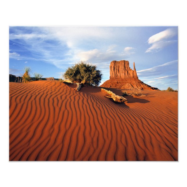 Impression Photo États-Unis, Utah, Monument Valley. Le vent crée (Devant)