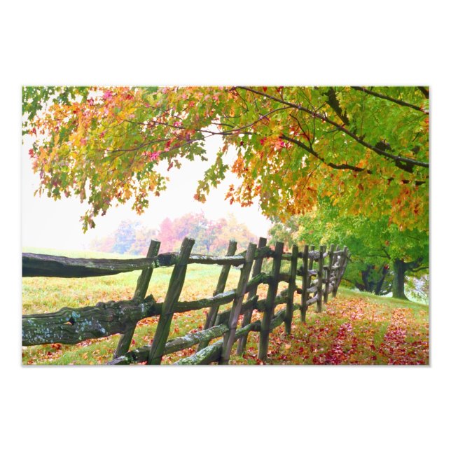 Impression Photo États-Unis, Vermont. Clôture sous le feuillage d'a (Devant)