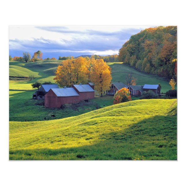 Impression Photo États-Unis, Vermont, Jenne Farm. Collines vertes o (Devant)