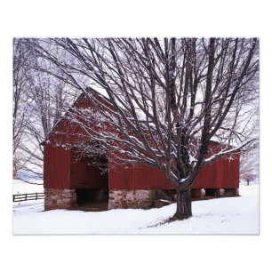 Impression Photo États-Unis, Virginie, Fairfax Comté, Barn et Maple