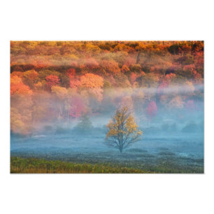 Impression Photo États-Unis, Virginie-Occidentale, Davis. Vallée br
