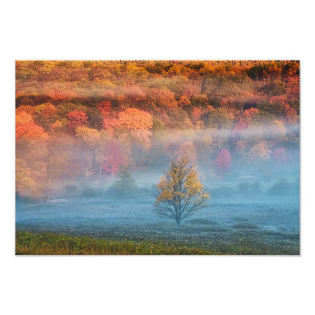 Impression Photo États-Unis, Virginie-Occidentale, Davis. Vallée br (Devant)