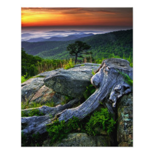 Impression Photo États-Unis, Virginie, Parc national de Shenandoah.