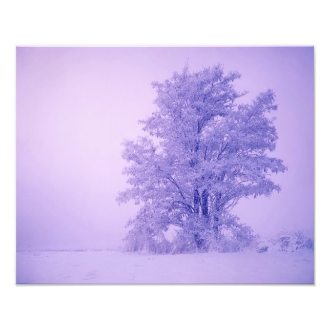 Impression Photo États-Unis, Washington, Comté de Spokane, givré (Devant)