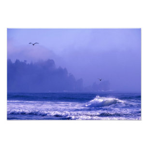 Impression Photo États-Unis, Washington, Parc national Olympique. B