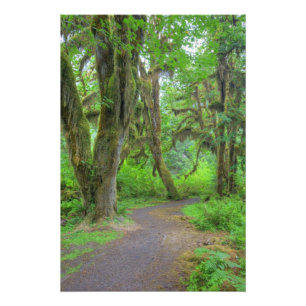 Impression Photo États-Unis, Washington, Parc National Olympique, H