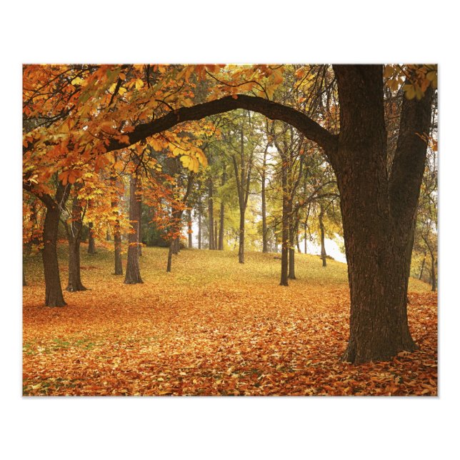 Impression Photo États-Unis, Washington, Spokane, Manito Park, Auto (Devant)