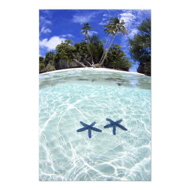 Impression Photo Étoiles de mer, îles Rocheuses, Palaos 2 (Devant)