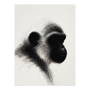 Impression Photo Étude de primate au fusain d'Observateur Silencieu