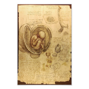 Impression Photo Étude du foetus de bébé par Leonardo da Vinci