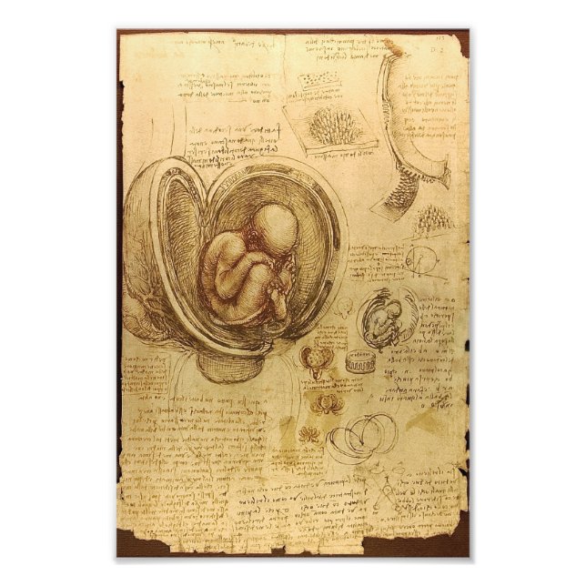 Impression Photo Étude du foetus de bébé par Leonardo da Vinci (Devant)