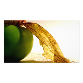 Impression Photo Étude Tomatillo