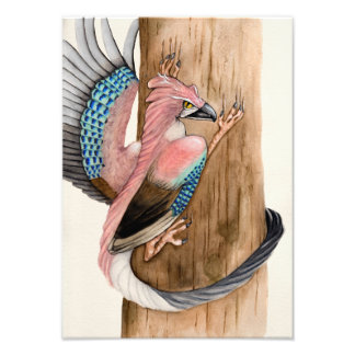 Impression Photo Eurasien Jay Dragon