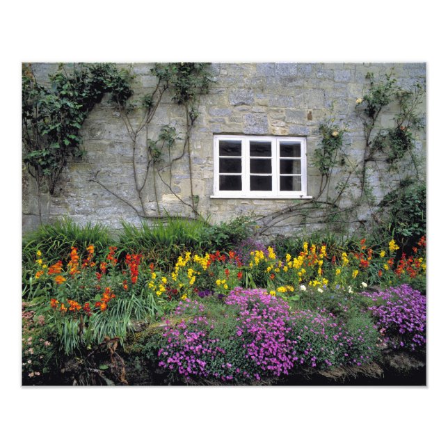 Impression Photo Europe, Angleterre, Teffont Magna. Fleurs rempliss (Devant)