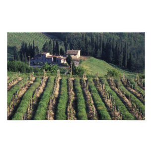 Impression Photo Europe, Italie, Toscane. Pittoresque villa chypre.