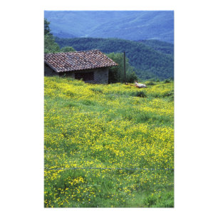 Impression Photo Europe, Italie, Toscane, Sienne, Chianti.