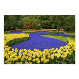 Impression Photo Europe, Pays-Bas, Hollande, Lisse, Keukenhof
