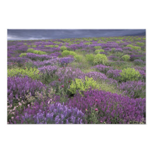 Impression Photo Europe, Turquie, Cappadoce. Paysage rural 3