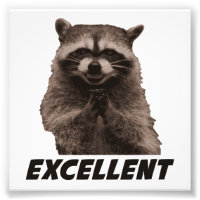 Excellent Raccoon de lot de mal