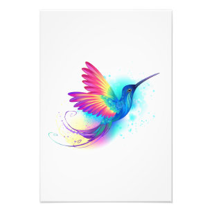 Impression Photo Exotic Rainbow Hummingbird