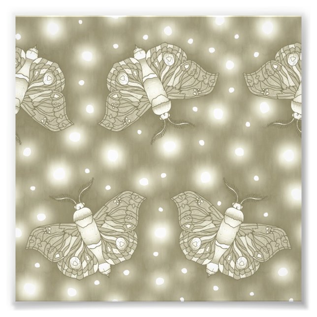 Impression Photo Fairy Moths (Devant)