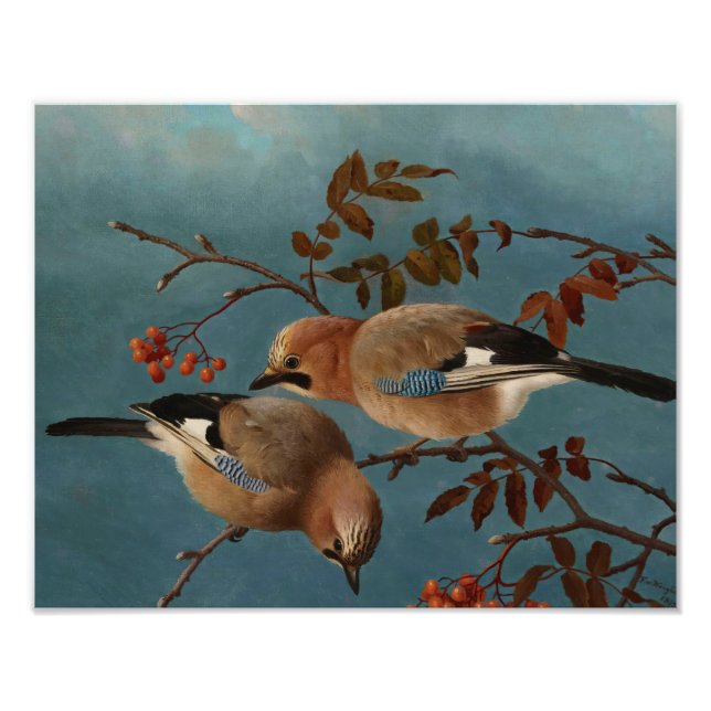 Impression Photo Ferdinand von Wright - Jays (Devant)