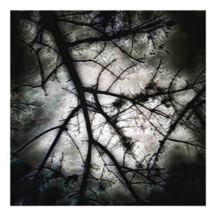 Impression Photo Fermeture