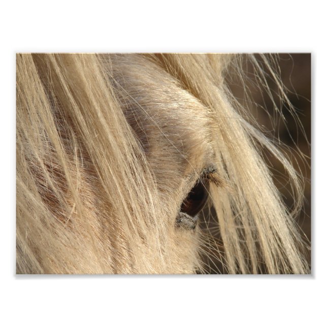 Impression Photo Fête de l'Homme (Devant)