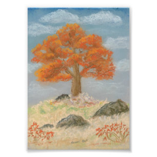 Impression Photo Feuillage d'automne