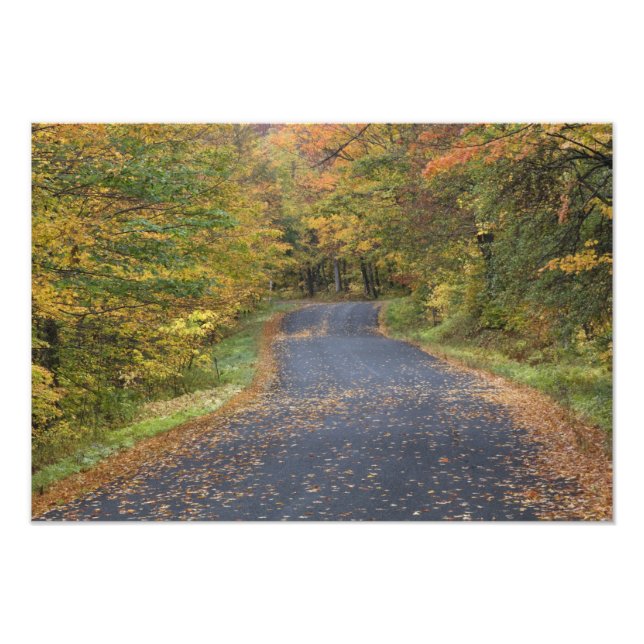 Impression Photo Feuillage d'automne au bord de la route, Vermont d (Devant)