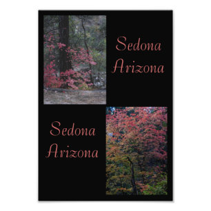 Impression Photo Feuillage d'automne Sedona, Arizona