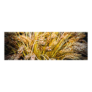 Impression Photo Feuille De Blé - Merci