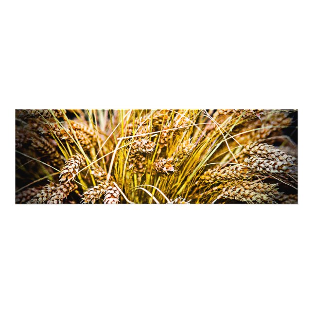 Impression Photo Feuille De Blé - Merci (Devant)