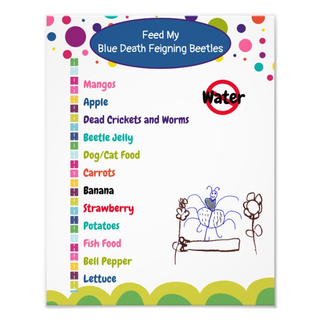 Impression Photo Feuille de soins aux coléoptères pour la fièvre bl (Devant)