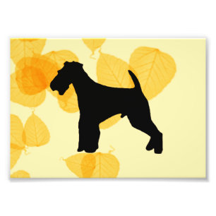 Impression Photo Feuille d'or d'Airedale Terrier