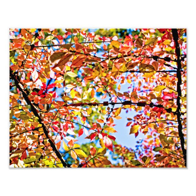 Impression Photo Feuilles (Devant)